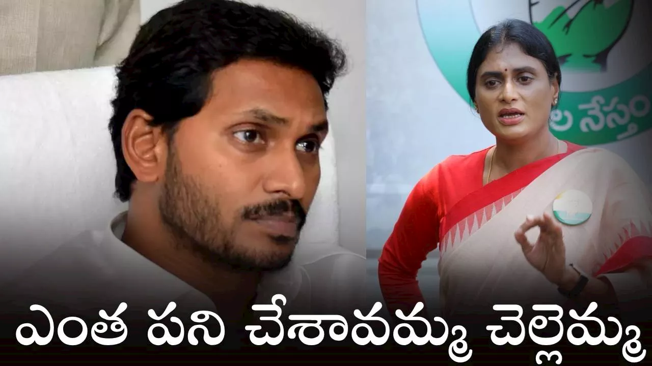 YS Sharmila: నాడు అన్నను గెలిపించిన చెల్లెలు.. నేడు అన్నను ఓడించిన షర్మిల