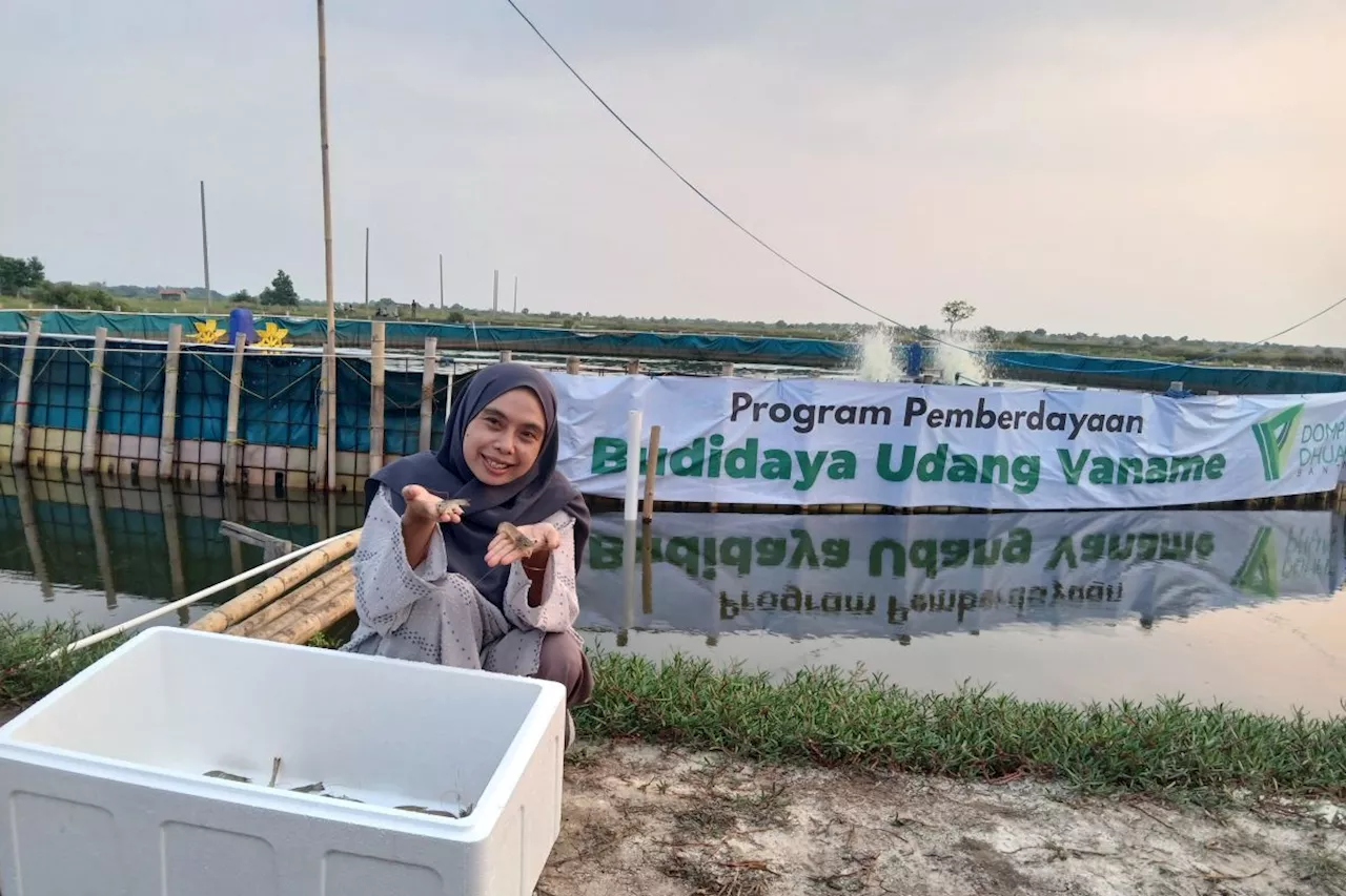 Dompet Dhuafa kembangkan udang vaname majukan petambak tradisional