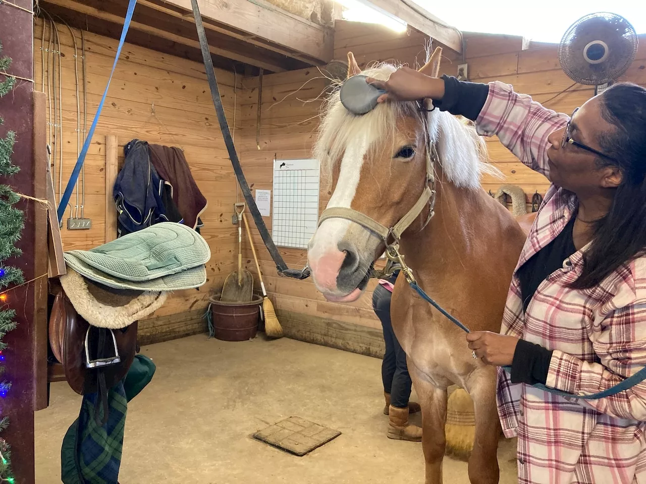 Girlhood dream fulfilled with horseback riding lesson; you can, too: Summer Camp for Grown-Ups