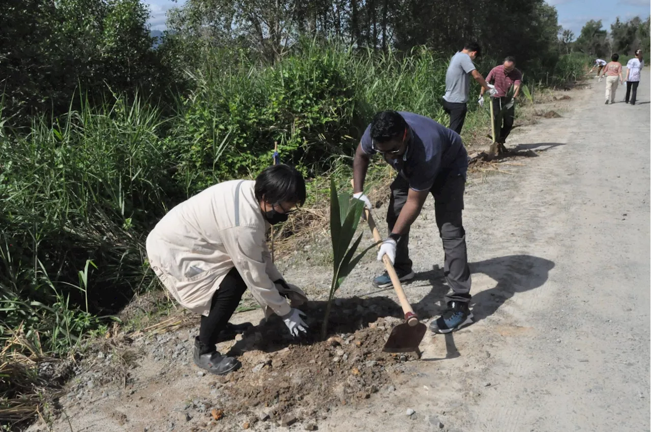 Hari Alam Sekitar Sedunia: 210 pokok ditanam di sepanjang Sungai Telipok