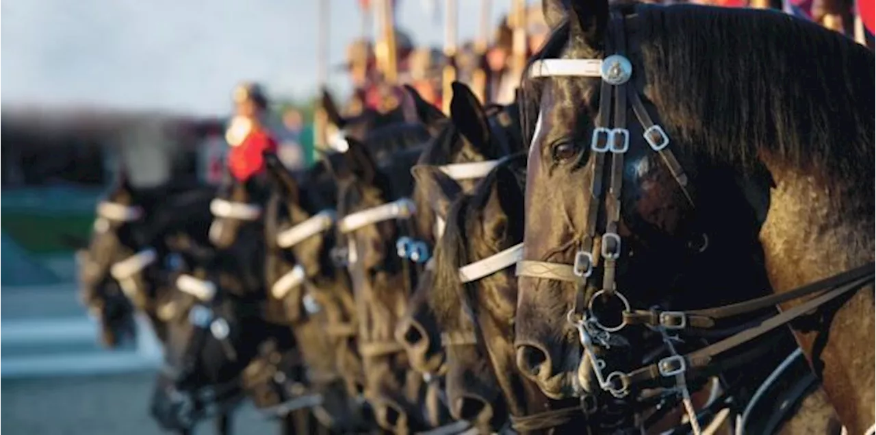 WindReach Farm in Whitby celebrating 35th anniversary with RCMP Musical Ride and SuperDogs shows