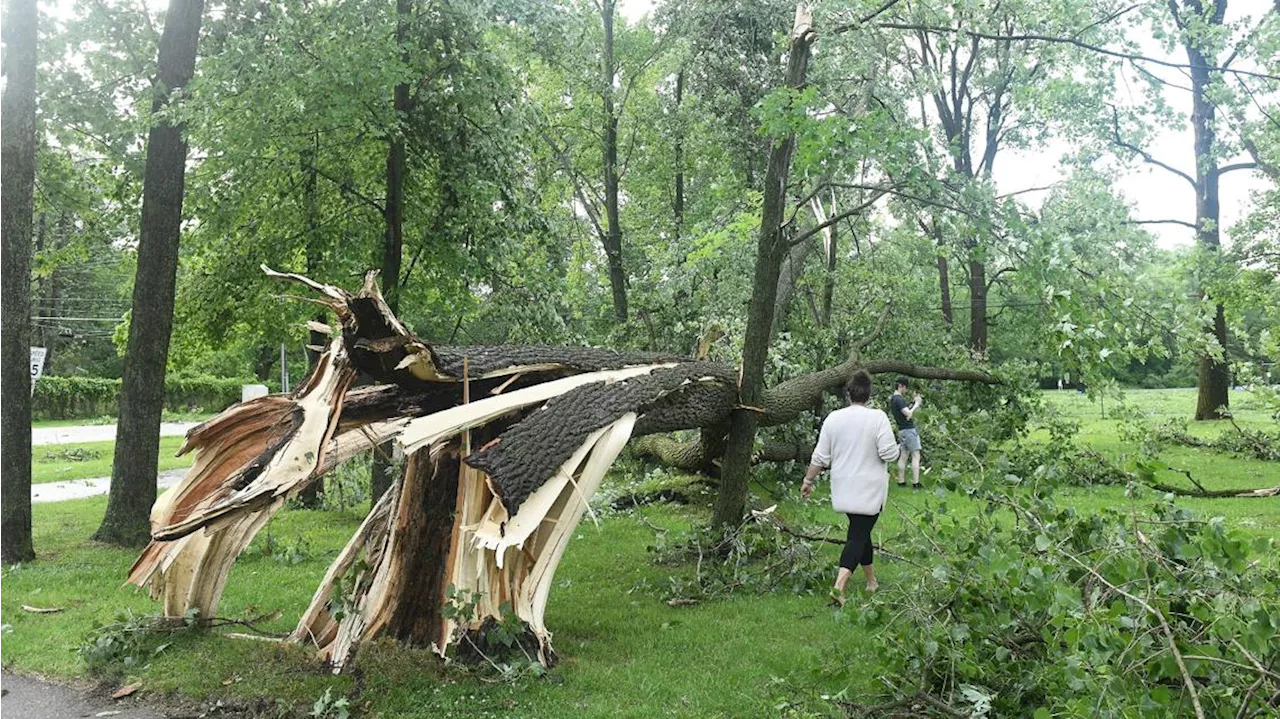 Tornado hits Michigan without warning, killing toddler, while twister in Maryland injures 5