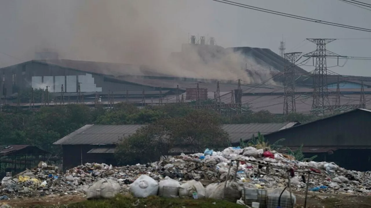 Ulah Manusia Sama Bahayanya dengan Meteorit yang Memicu Kepunahan Massal