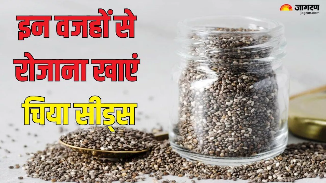 सुबह खाली पेट Chia Seeds से करें दिन की शुरुआत, वेट लॉस के साथ ही दिल भी बनेगा सेहतमंद