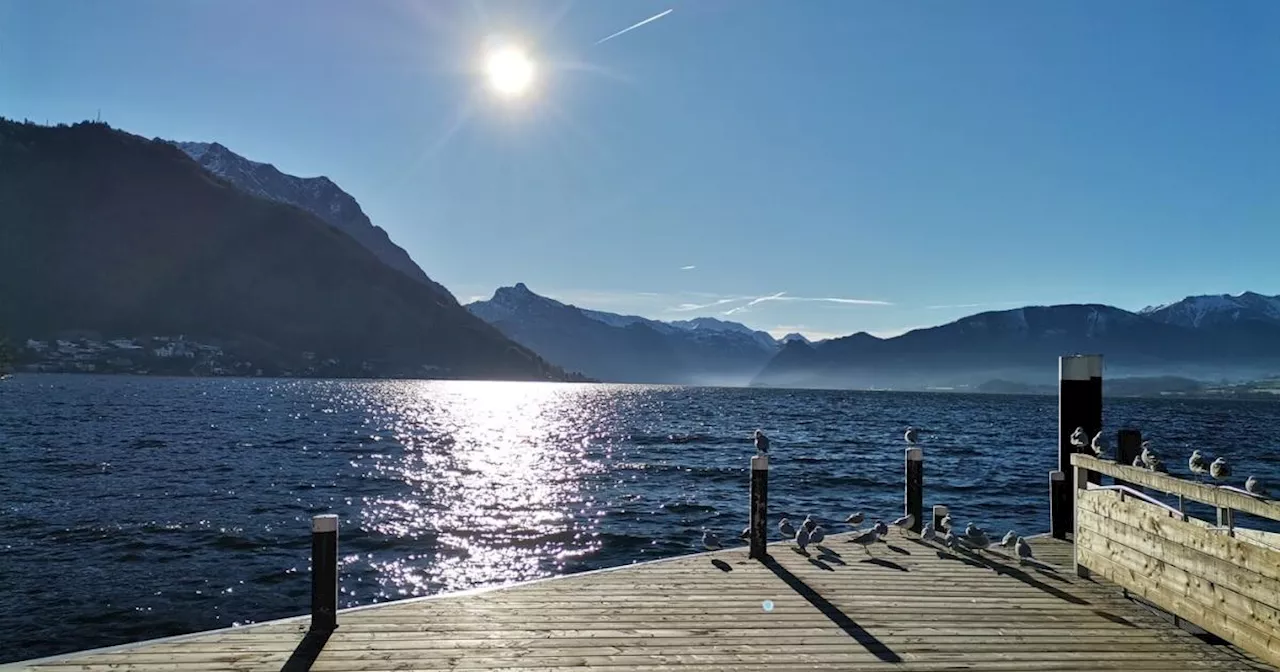 Betrugsprozess um Haus am Traunsee: Anwälte und Notar vor Gericht