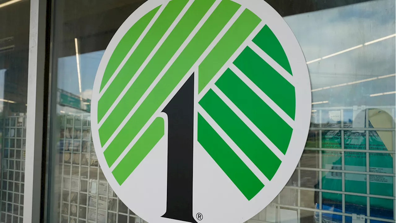 Dollar Tree considers selling Family Dollar amid business revamp efforts