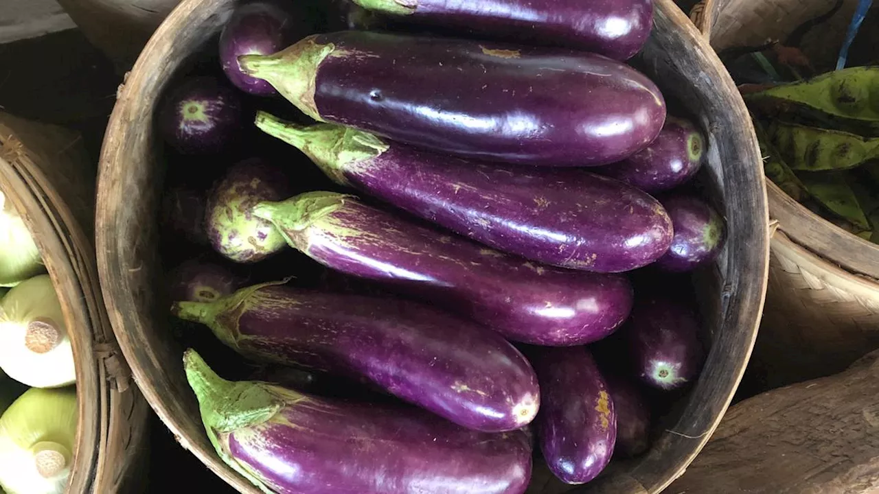 Tanpa Direndam Cuka, Ini Cara Masak Terong Agar Tetap Cerah