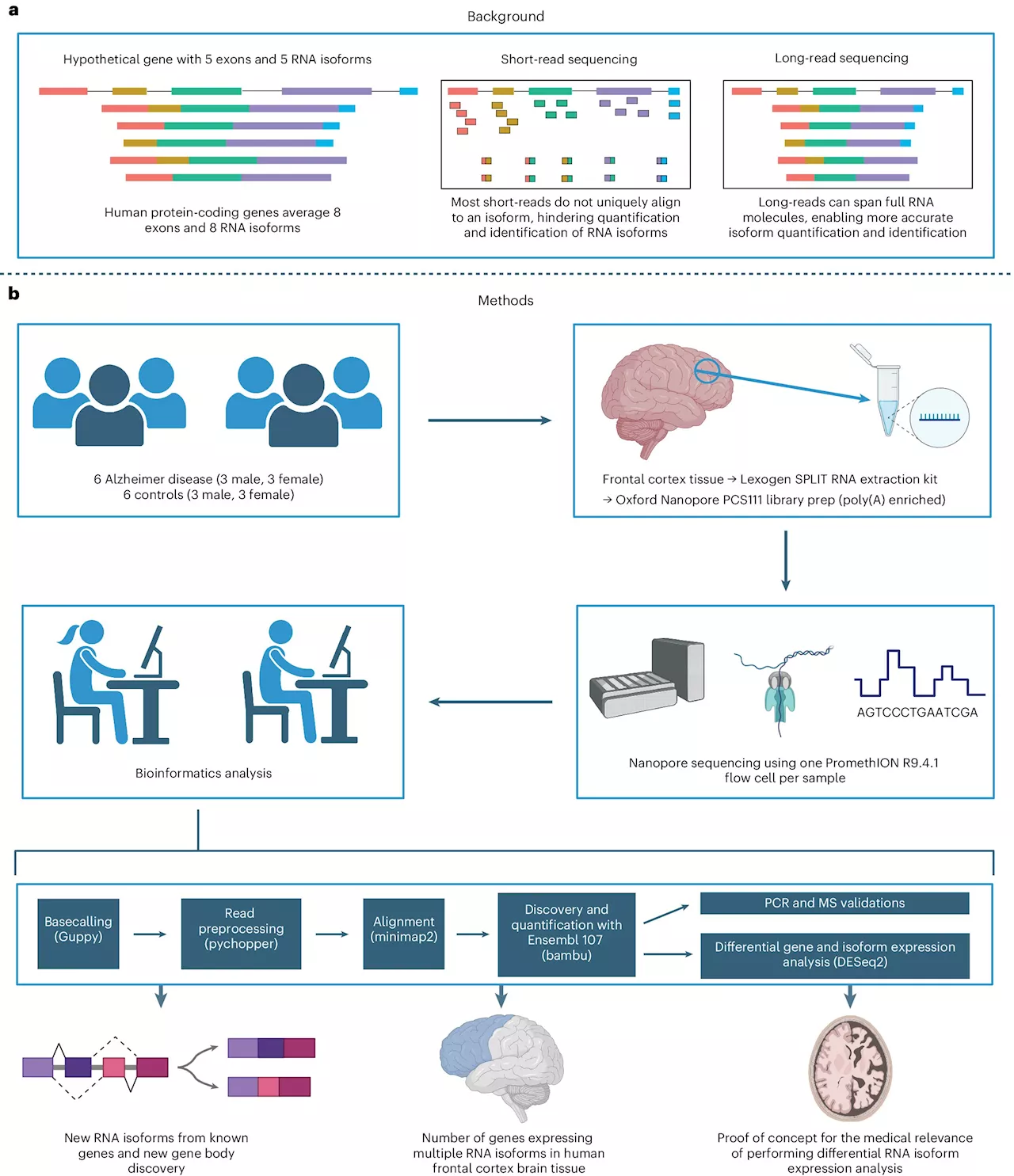 Long-read RNA sequencing reveals key gene expressions in Alzheimer's disease