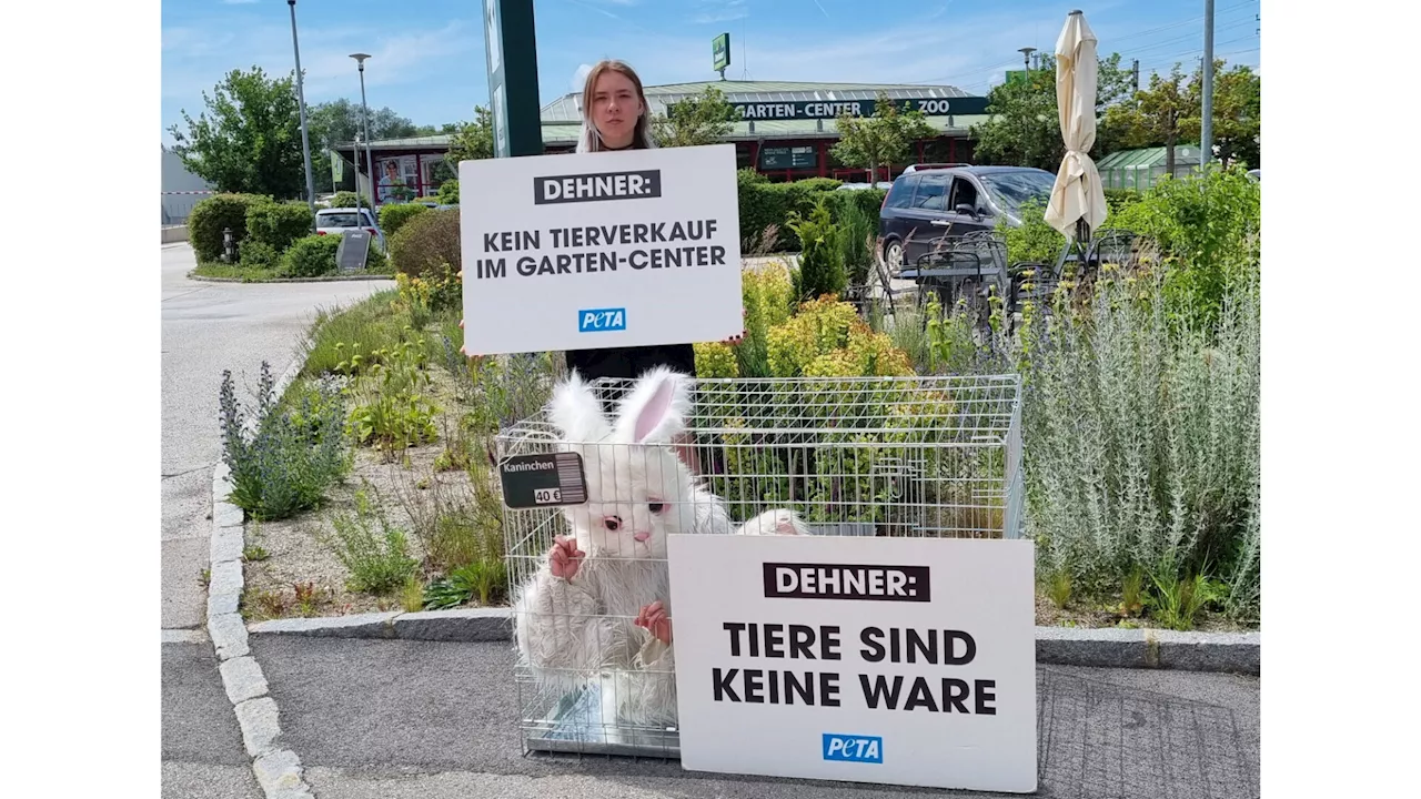 PETA-„Kaninchen“ demonstrierte vor Gartencenter in St. Pölten