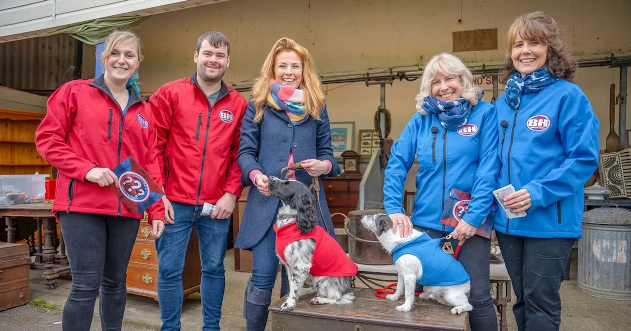 Bargain Hunt gets major shake-up to celebrate milestone anniversary