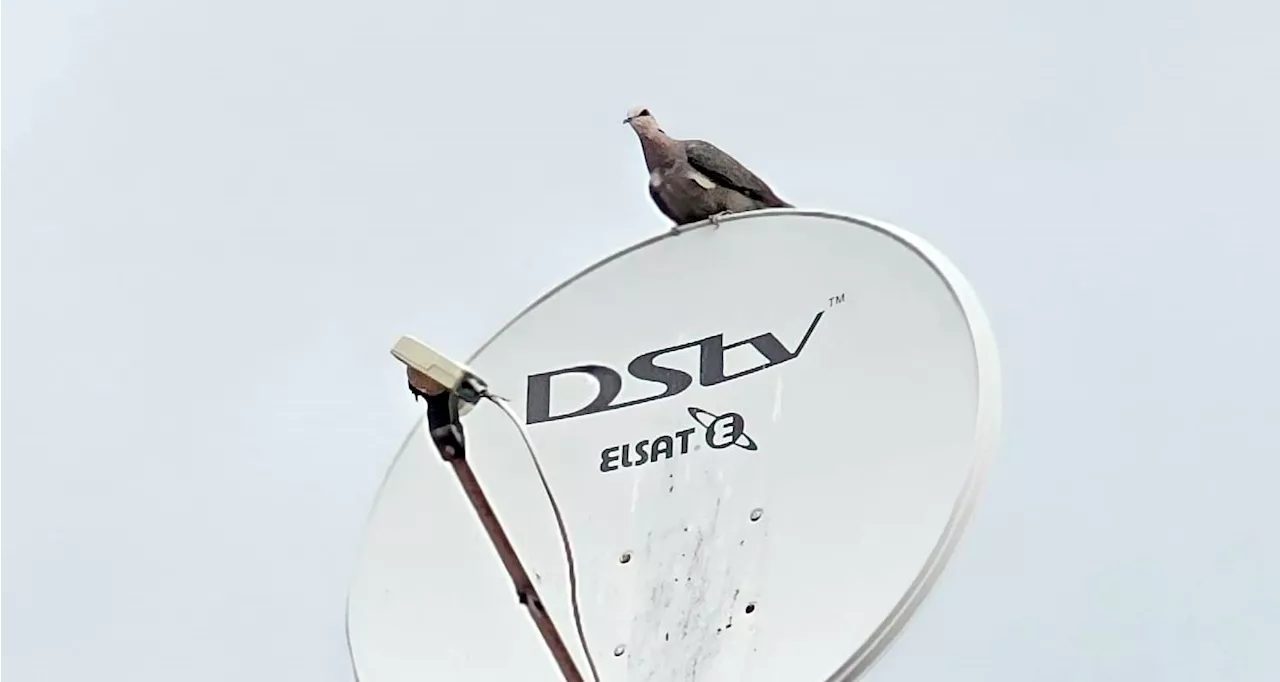 Grim full-year results expected from MultiChoice