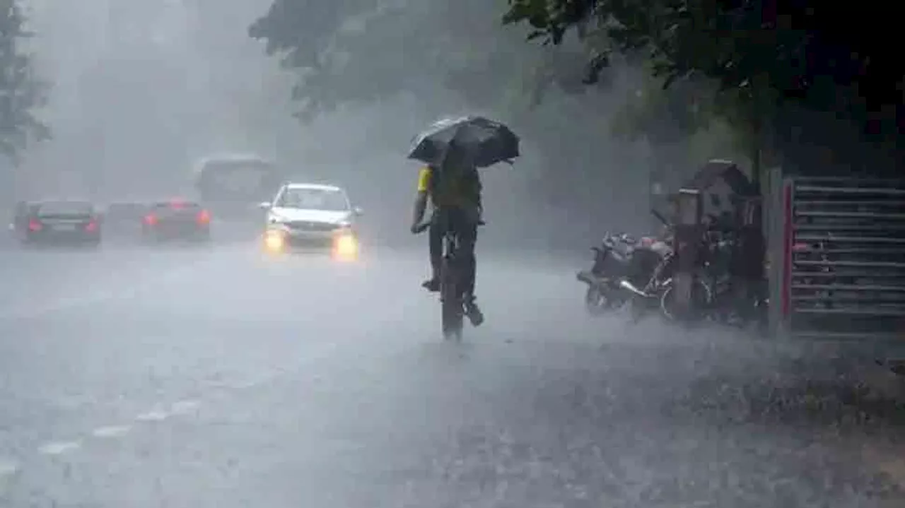 Kerala Weather: സംസ്ഥാനത്ത് മഴ തുടരും...! എട്ട് ജില്ലകളിൽ യെല്ലോ അലർട്ട്