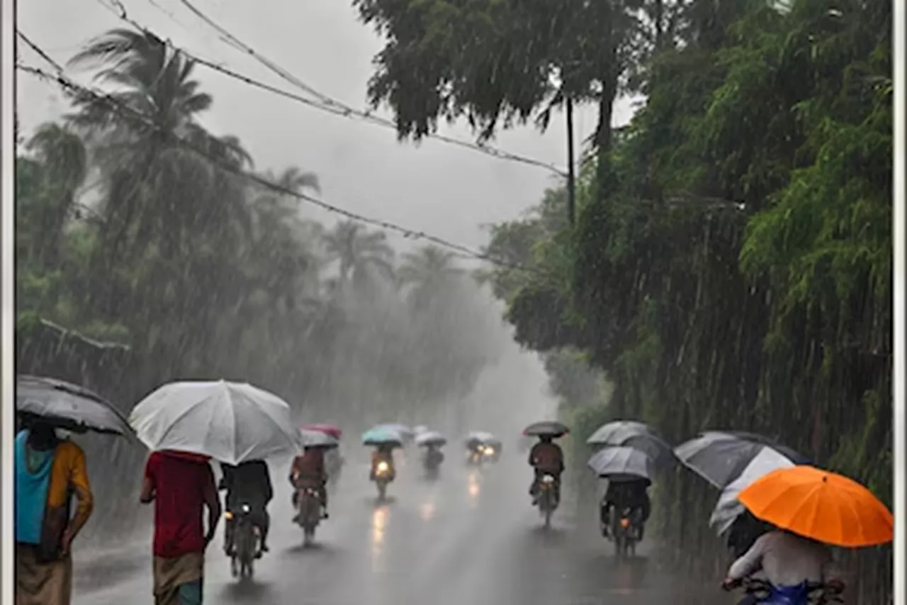 Monsoon Updates : वरुण राजाचं आज महाराष्ट्रातील 'या' भागात आगमन?, विदर्भासह नागपुरात येलो अलर्ट