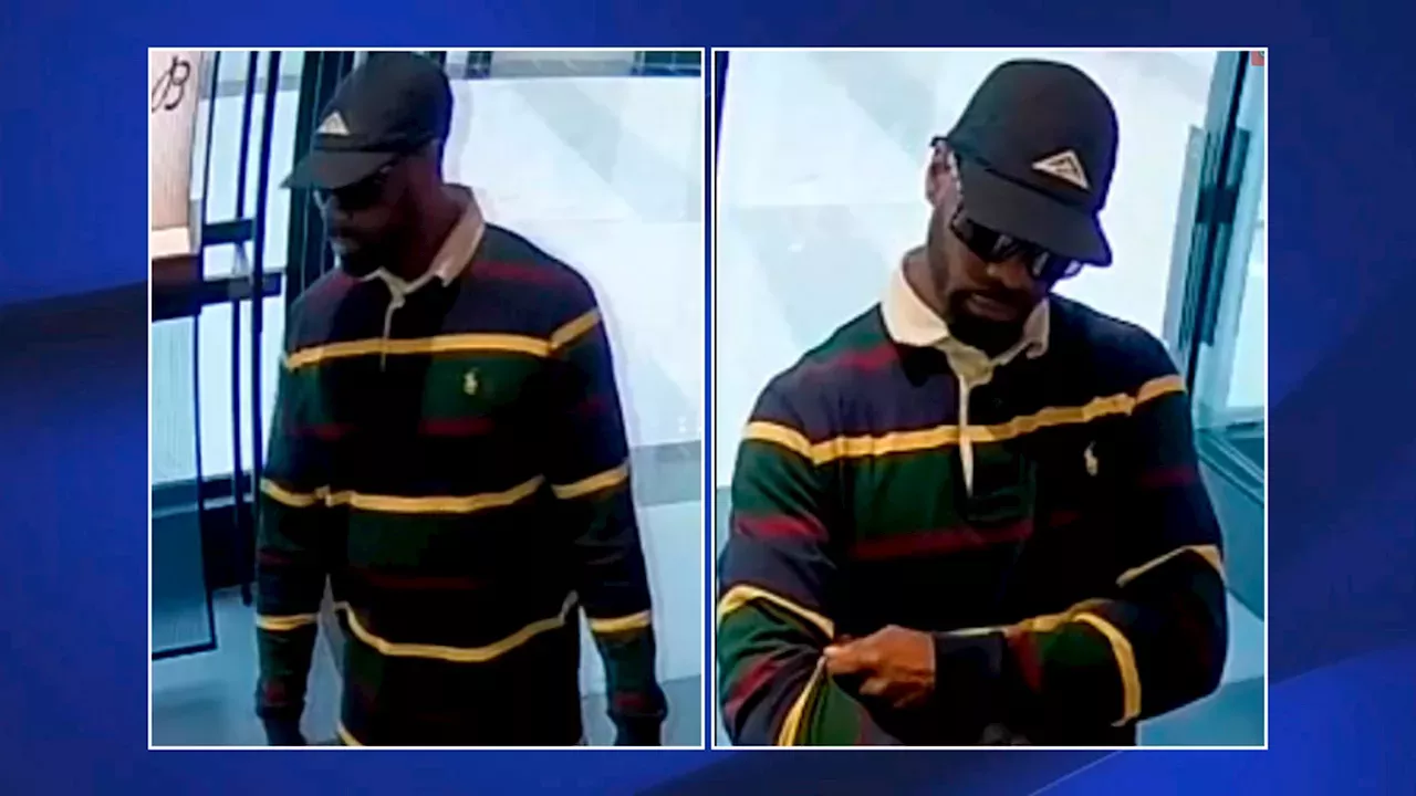 14919719: Suspect wanted for stealing $40K watch from King of Prussia ...