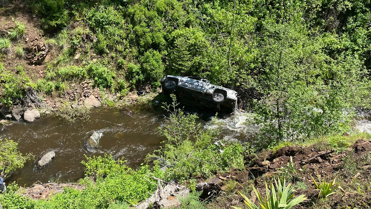 Dog travels 4 miles to find help after owner's truck plunges off cliff in Oregon