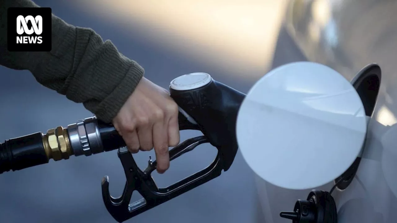 RACQ calls on Queensland government to cap fuel price hikes to five cents a day