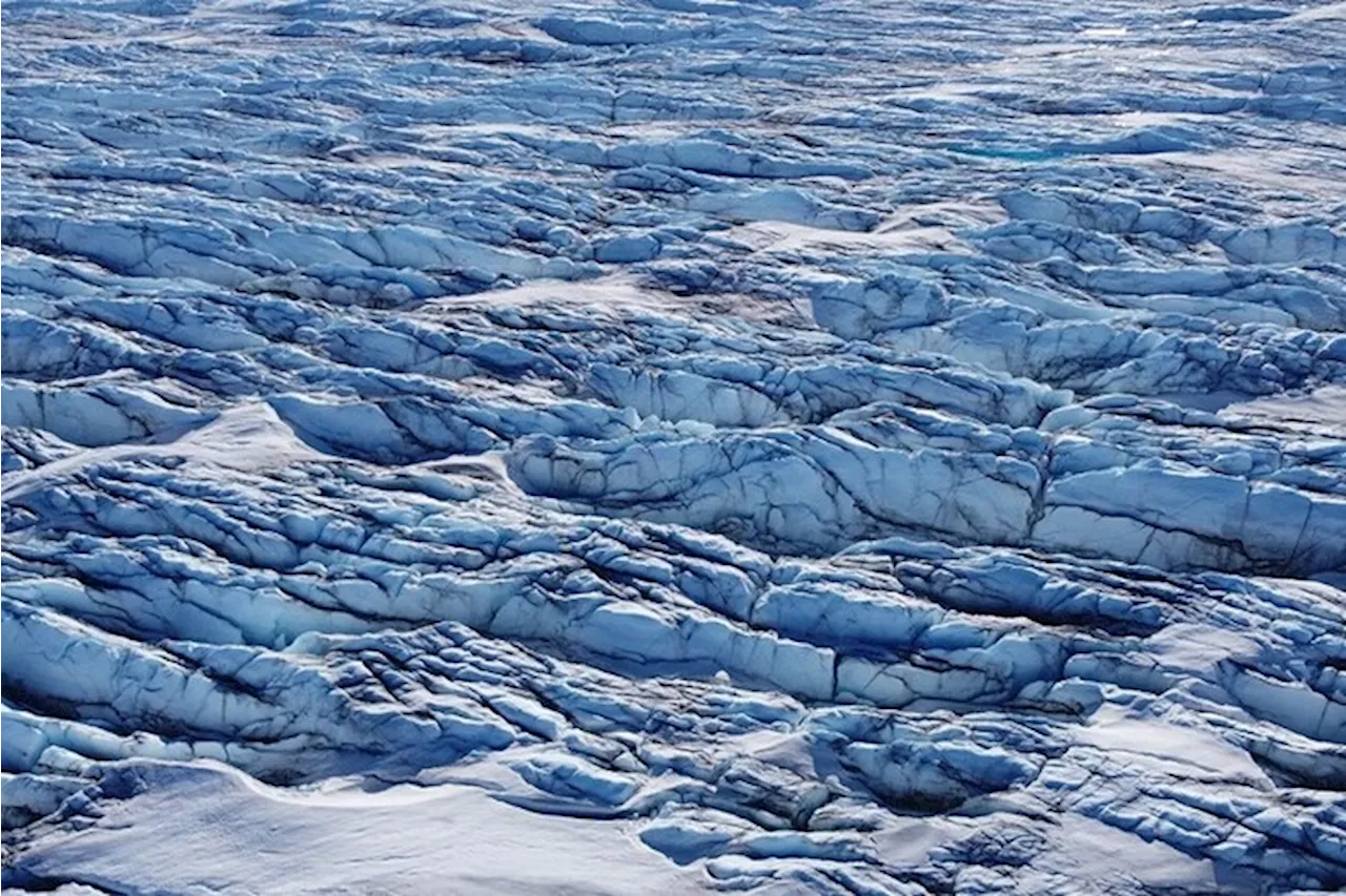 Descubren virus gigantes en el hielo de Groenlandia