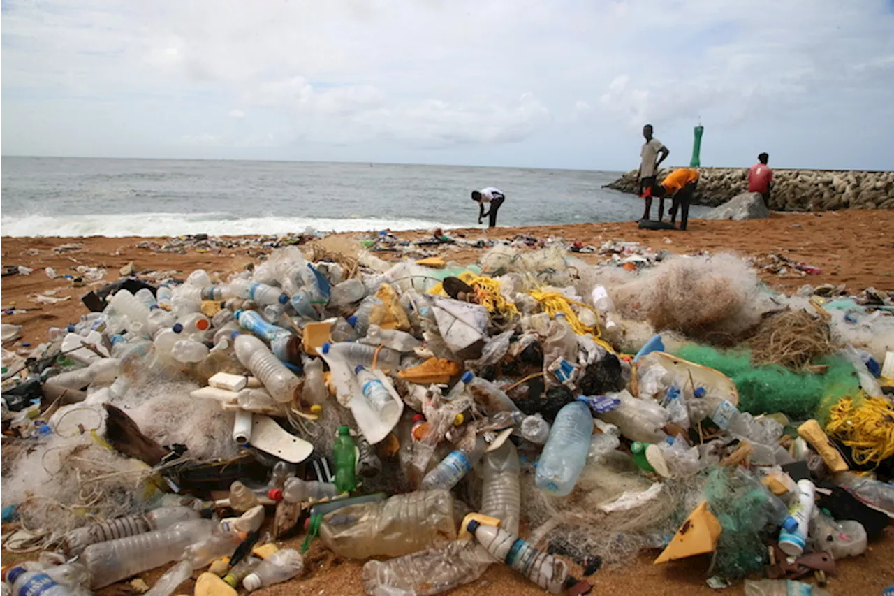 Pulizia della spiaggia ad Abidjan dai rifiuti di plastica