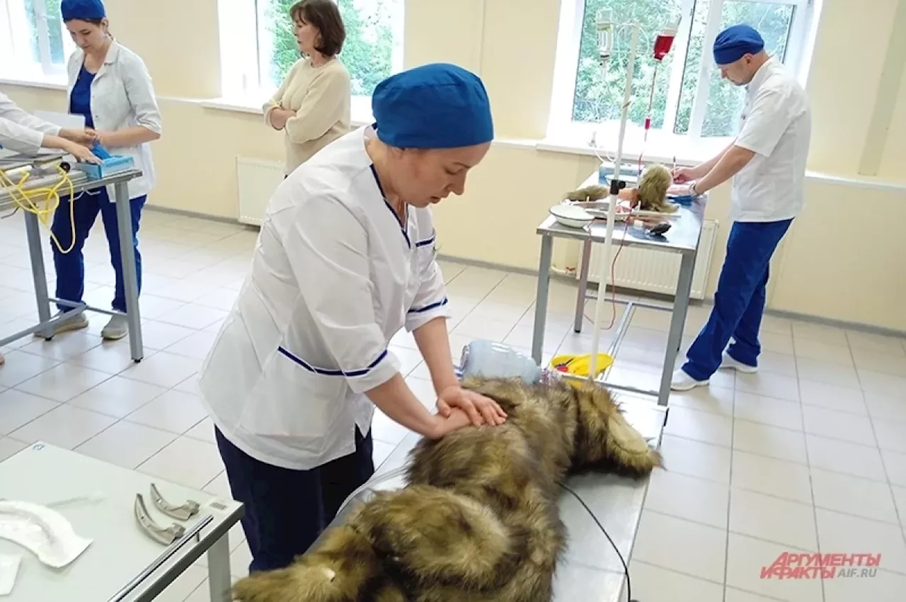 Московские Айболиты. В столице выбирают лучшего ветврача