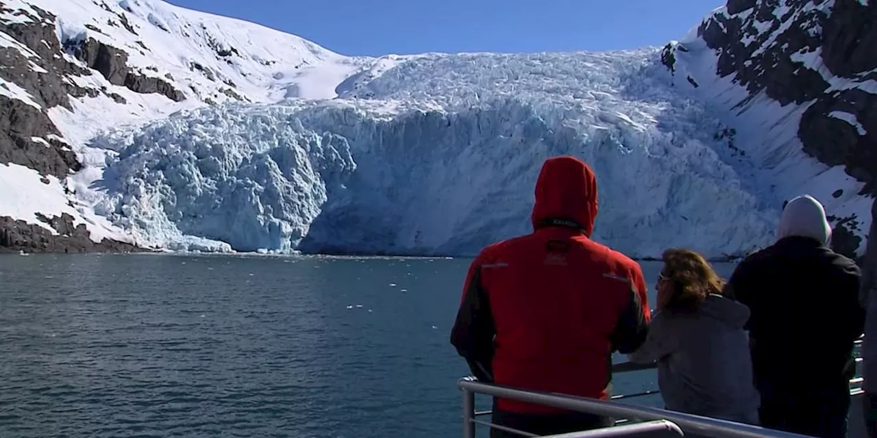 Roadtrippin’ 2024: Alaska’s iconic glaciers come into view on the Phillips’ 26-Glacier Cruise