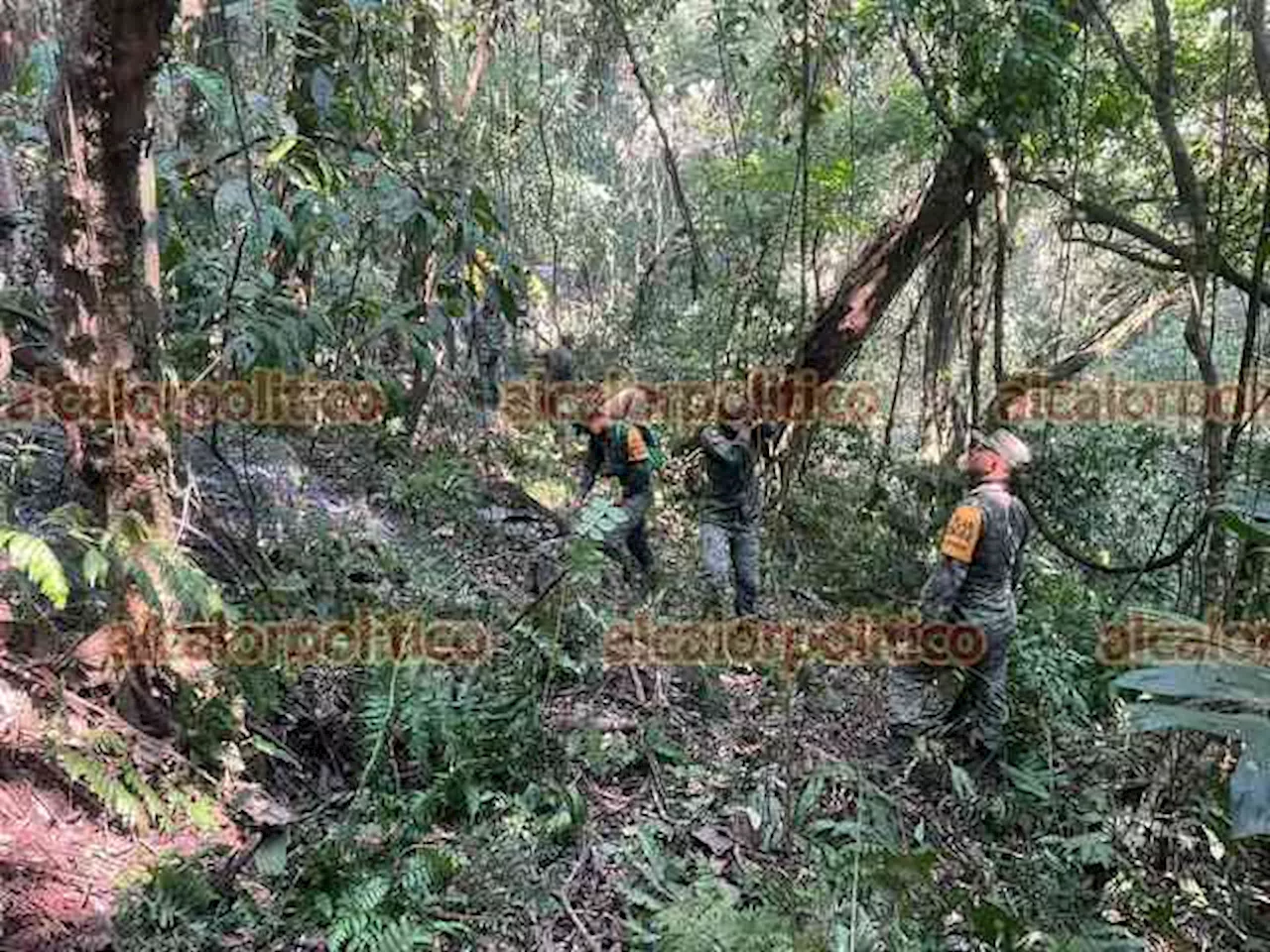 Incendio forestal en Rafael Delgado registra 60% de control y 40% de liquidación