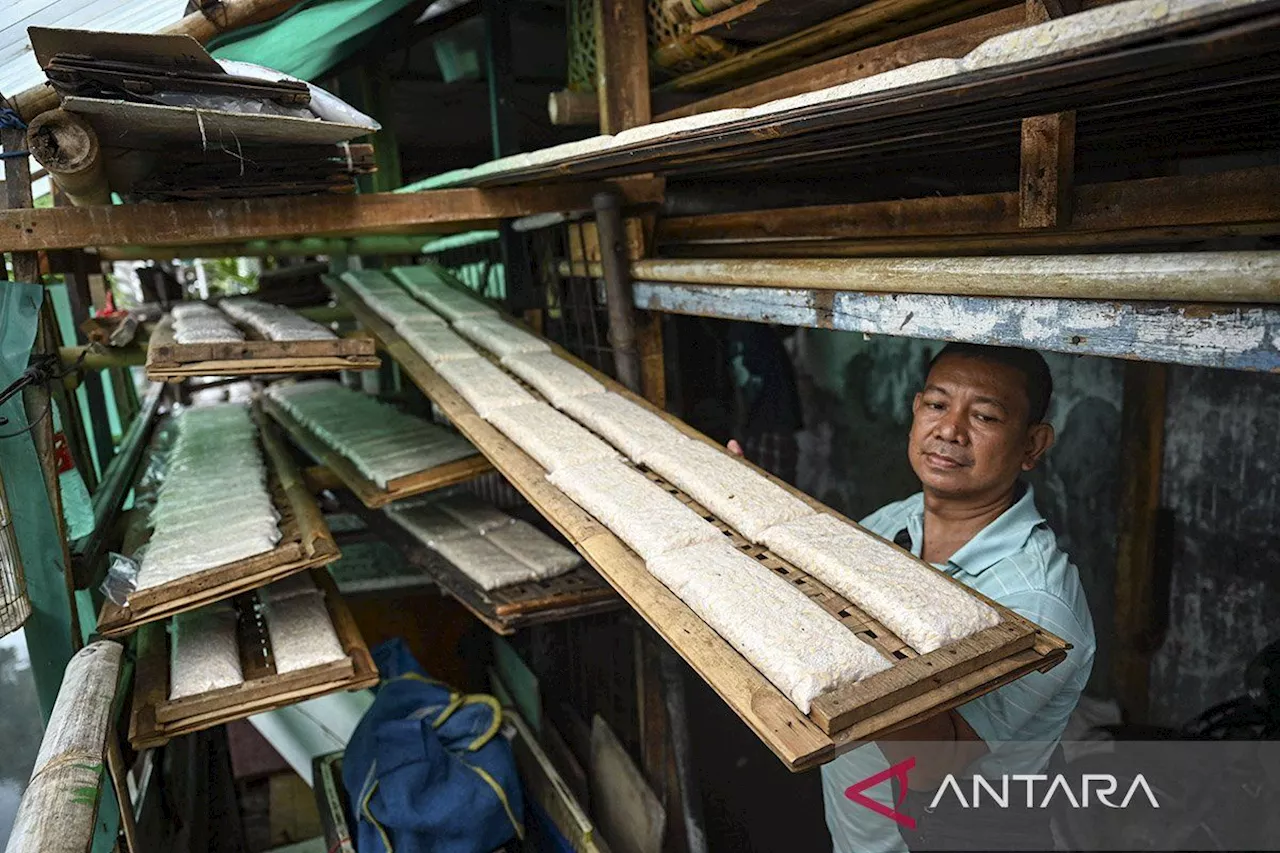 Tempe dicanangkan sebagai pangan generasi emas Indonesia