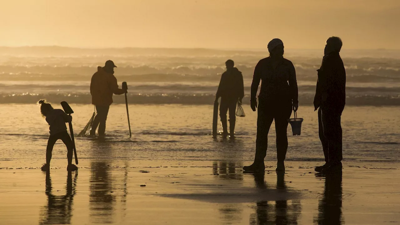 Oregon closes more coastal shellfish harvesting due to 'historic high levels' of toxins