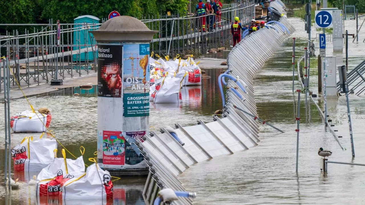 Pegel an unterer Donau sinken - weiter höchste Meldestufe