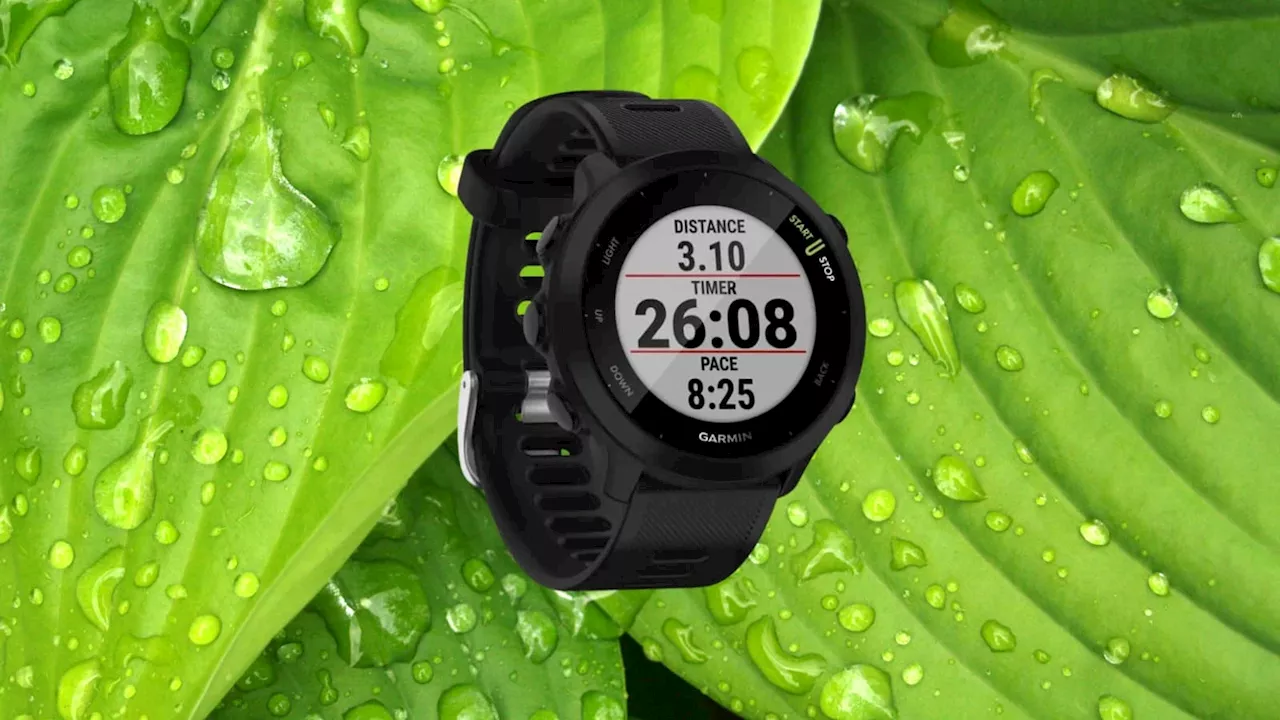 Moins de 170 euros pour cette montre connectée Garmin : c'est fou