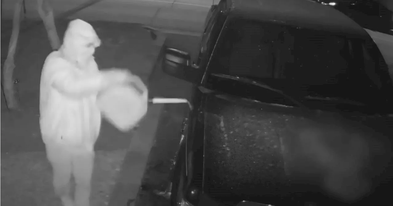 Video shows arsonist casually pouring gas on car and torching it in Richmond Hill