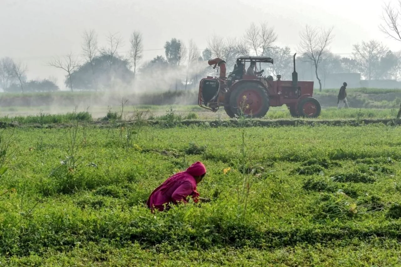 Punjab Kisan Card Online Registration 2024: Check all details