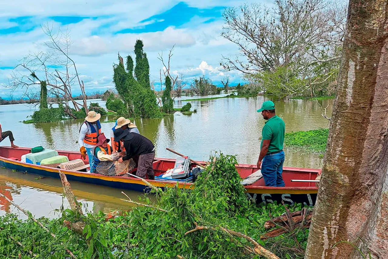 Entidades ambientales de Antioquia han rescatado más de 500 animales en La Mojana