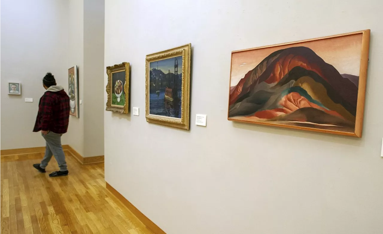 Paintings from Brauer Museum could be headed to auction after Friday court filing