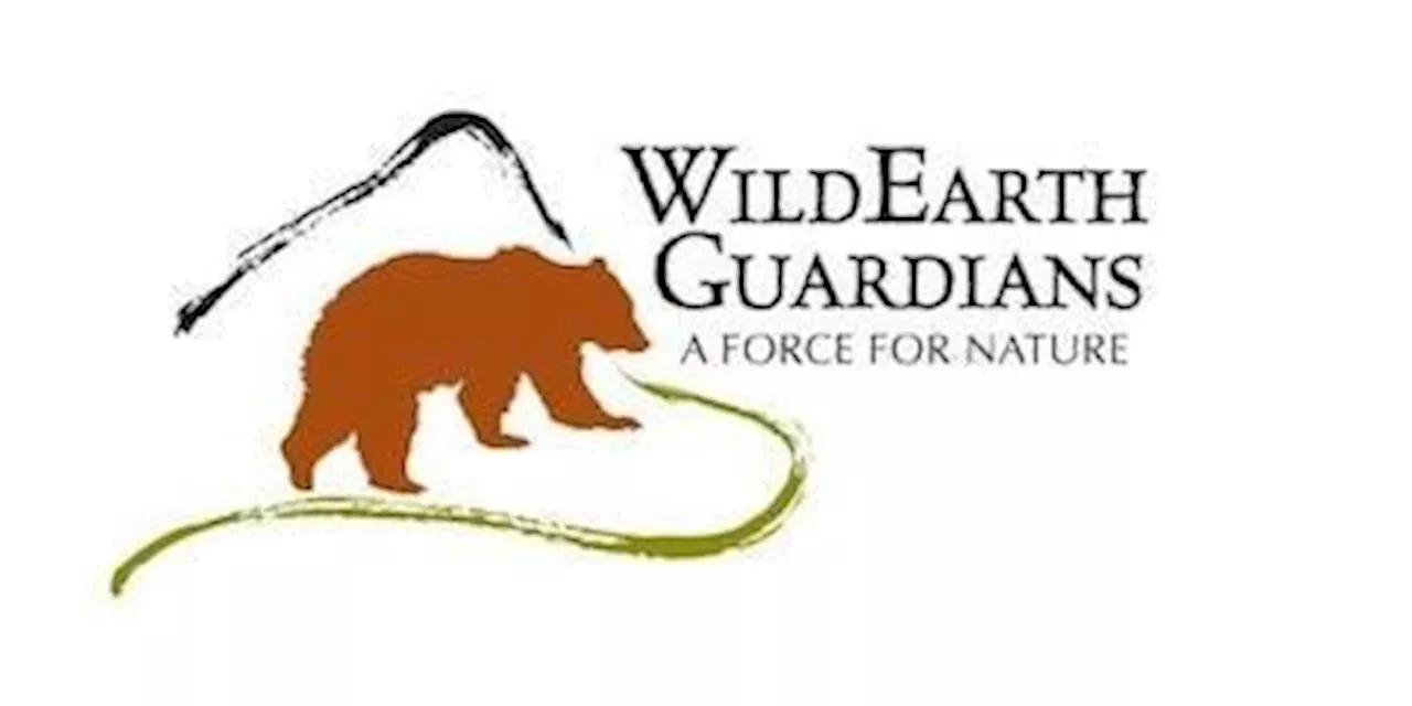 Wildearth guardians on Common Dreams's site