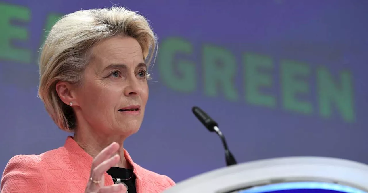 Pourquoi un déclin des Verts français serait une aubaine pour Ursula von der Leyen