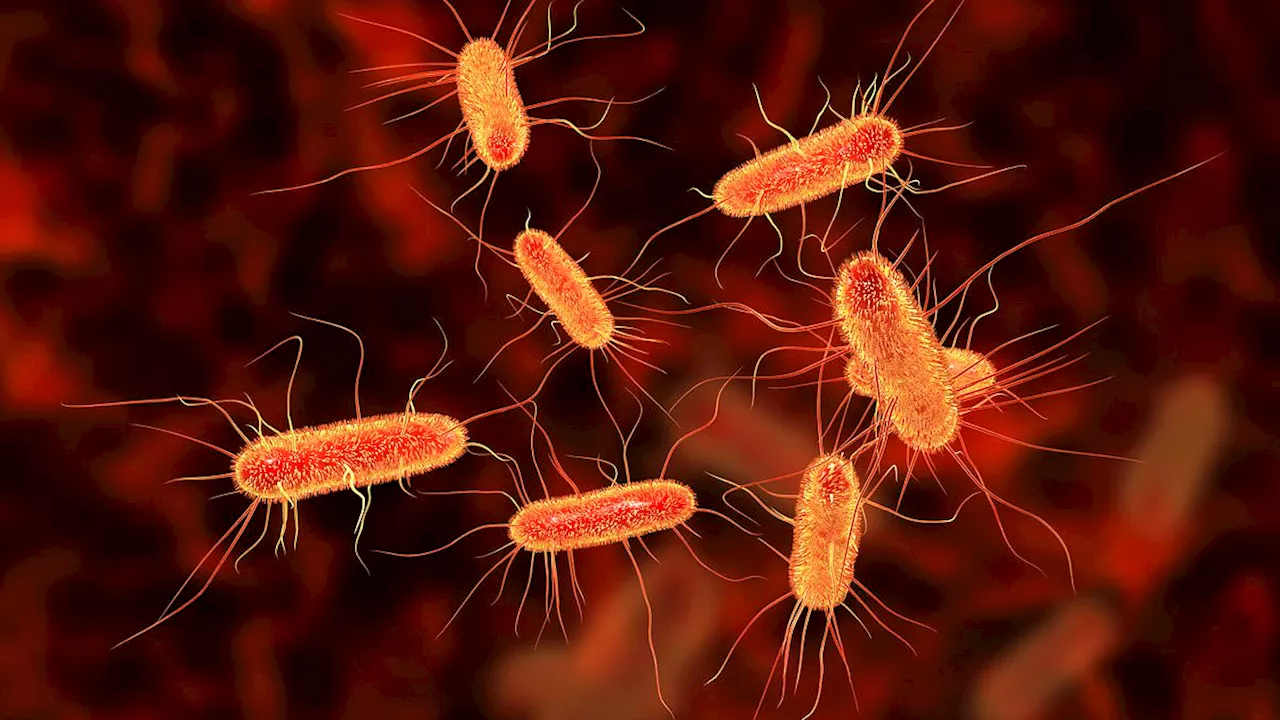 Urgent E.coli health warning as officials hunt for mystery food item causing a UK-wide outbreak