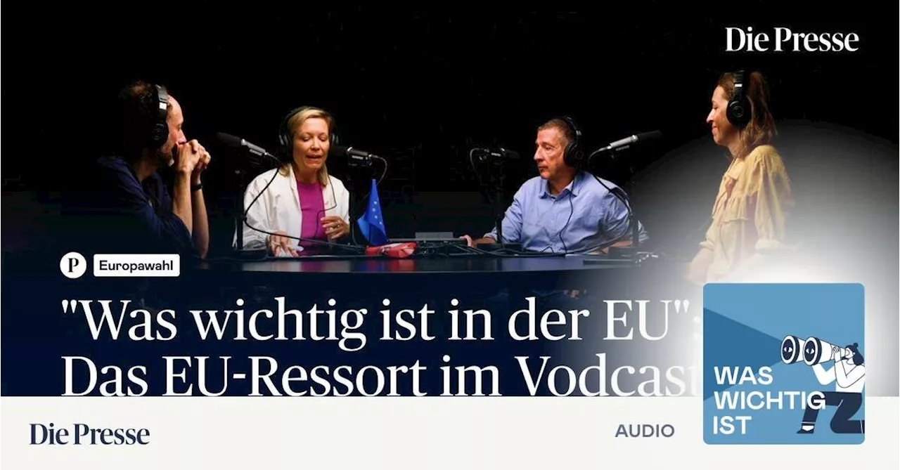 Wir wählen am Sonntag, was passiert eigentlich nach der EU-Wahl?