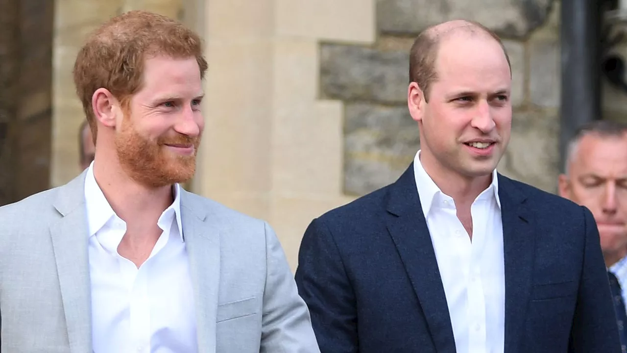 Inside Prince Harry and Prince William's Royal Rift Which Has Hit an 'All-Time Low'