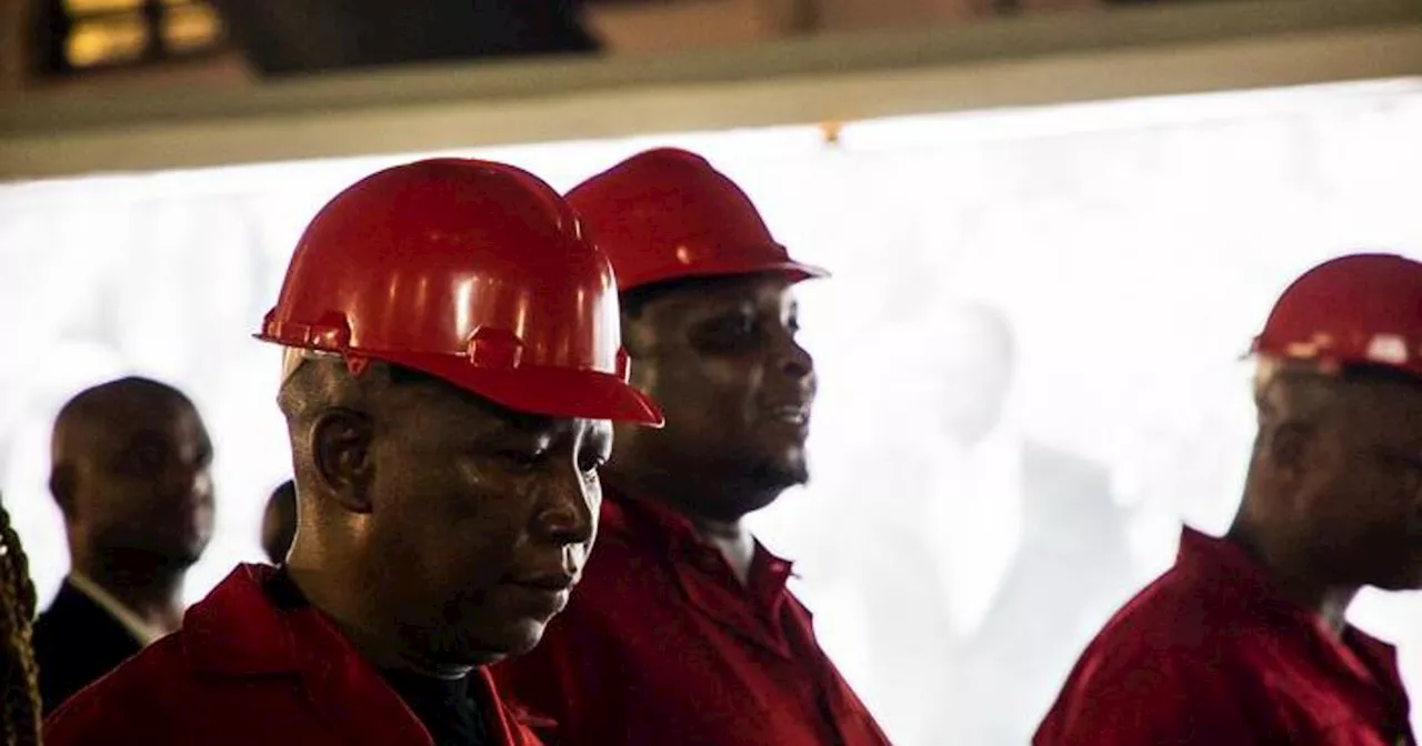 Shivambu: EFF won't entertain ANC's Government of National Unity if it involves DA, FF+