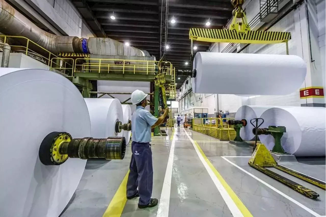 Na potencial aquisição da International Paper pela Suzano, o Itaú BBA é comprador