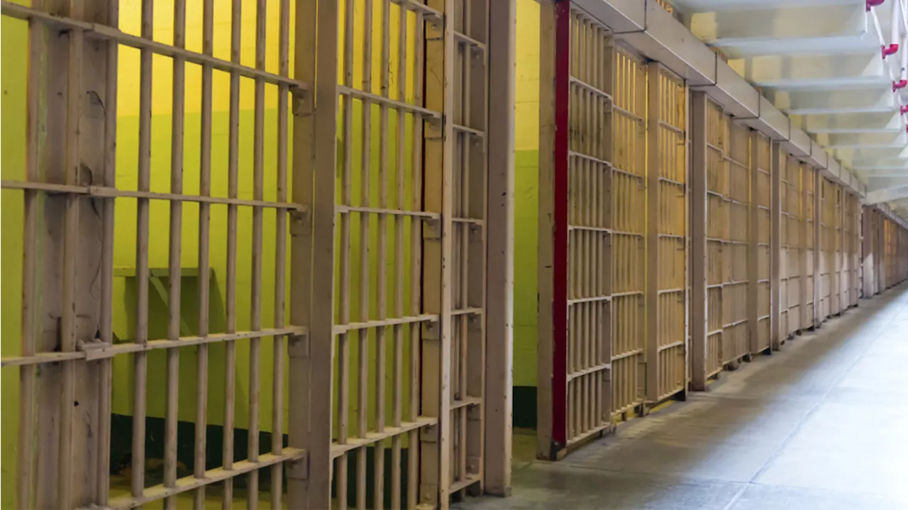 9 imprisoned in Flagler County's largest drug trafficking investigation ever