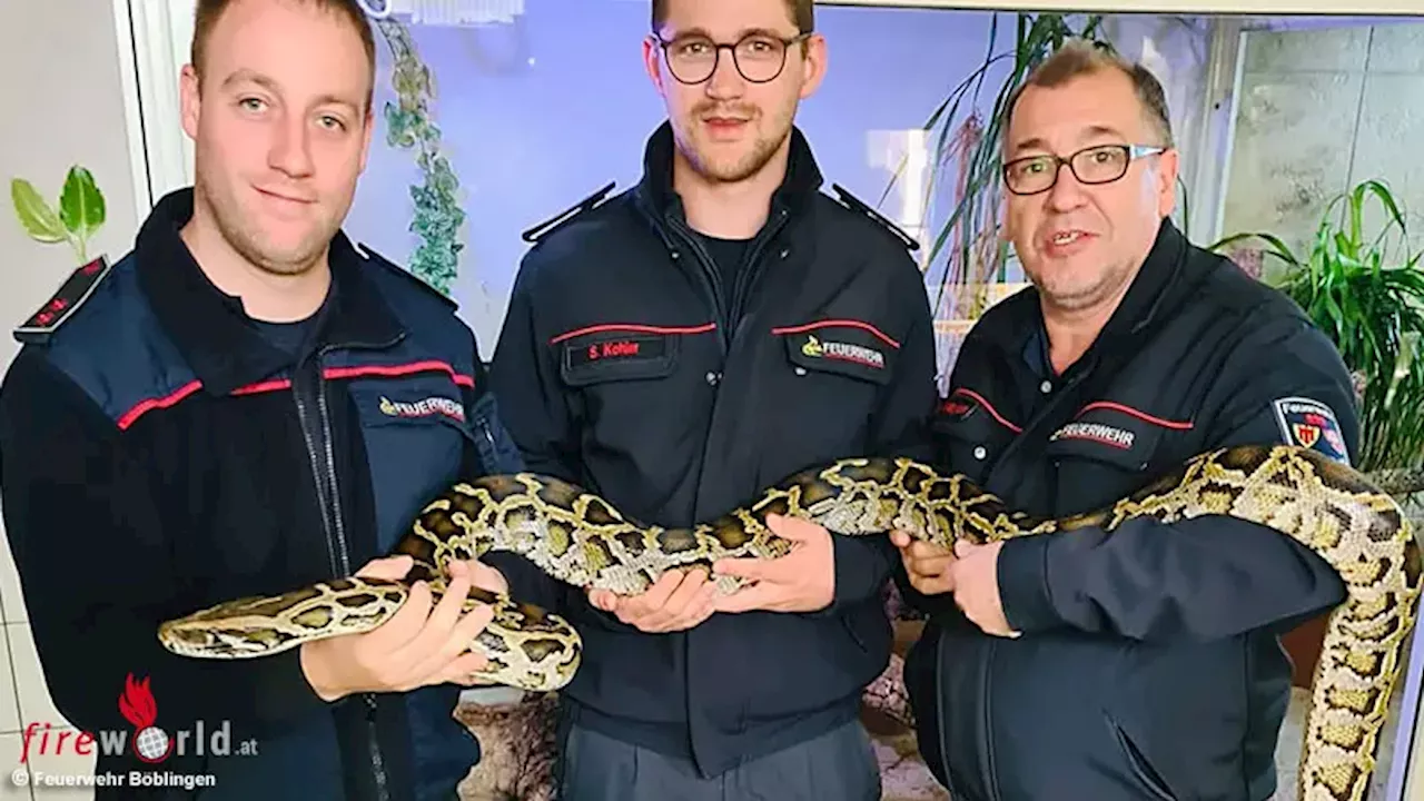 D: Erster Einsatz für die Fachgruppe „Schlangen und Reptilien“ der Feuerwehr Böblingen