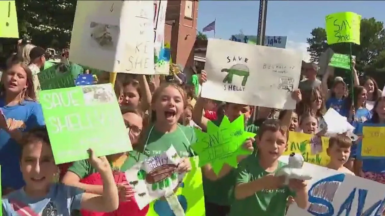 Students, parents rally to save beloved Shelly the Tortoise