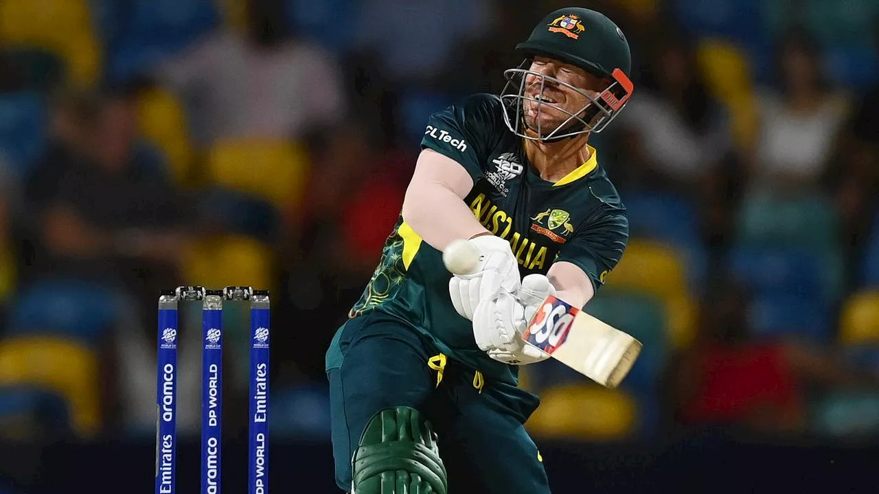 ‘Doesn’t fuel me’: Warner hits back at World Cup drama after heroic knock