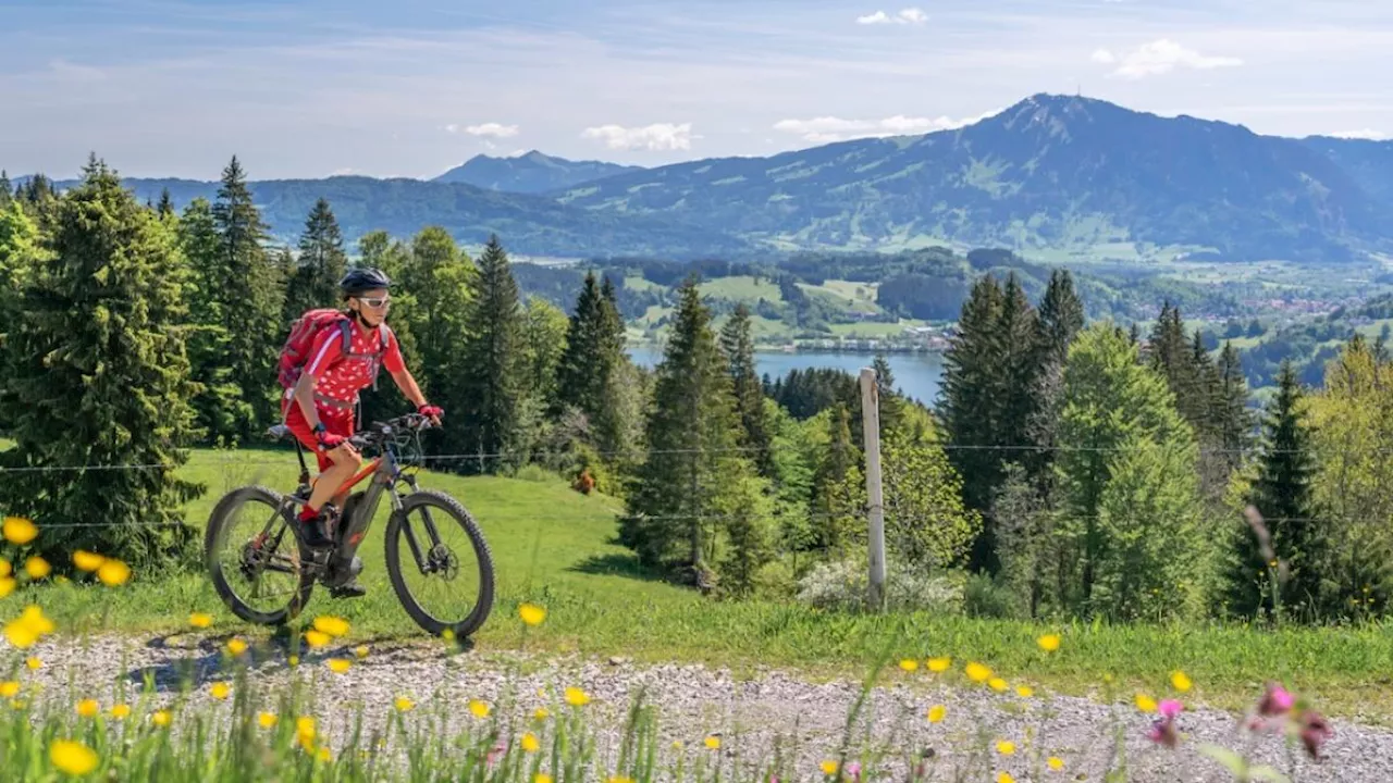 Scopri il Lago di Costanza in bicicletta con Il Ciclista Viaggi