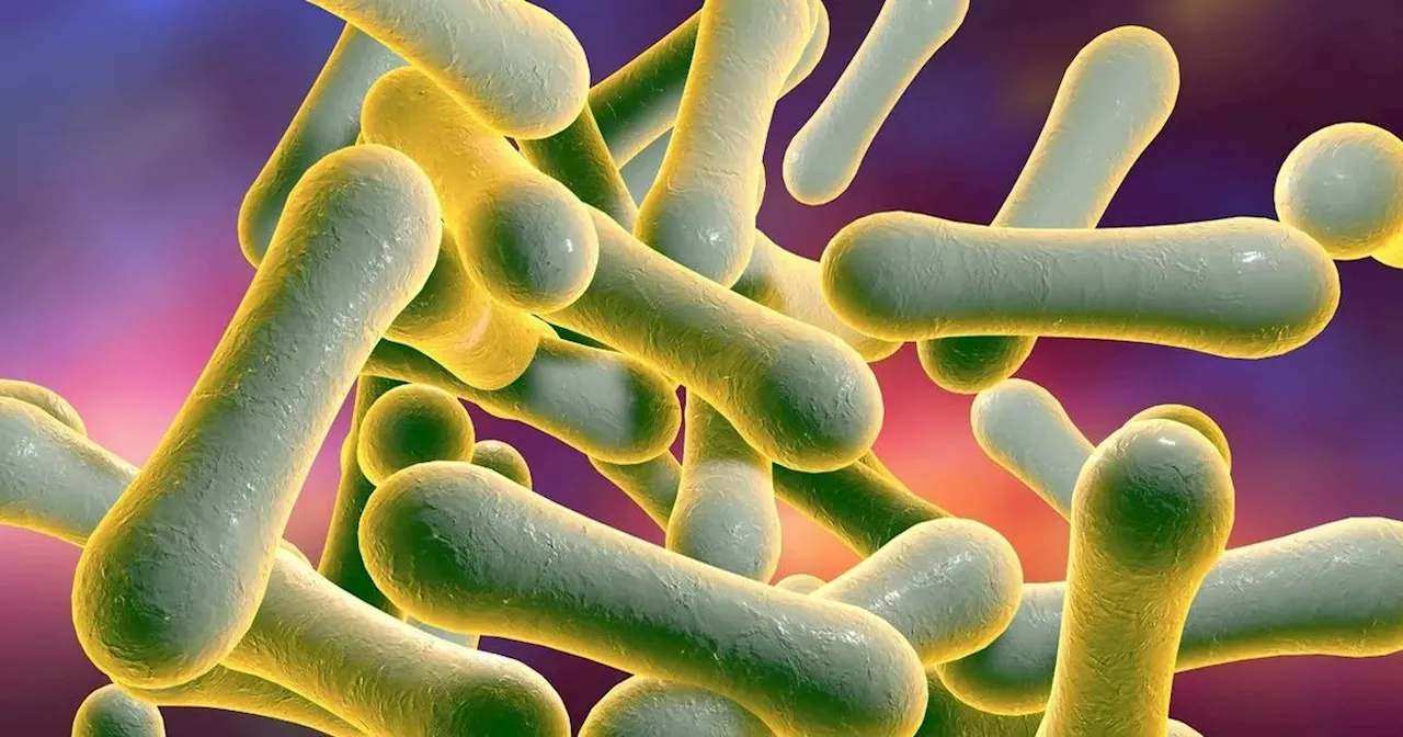 Health warning as E.coli outbreak linked to 'nationally distributed food item'