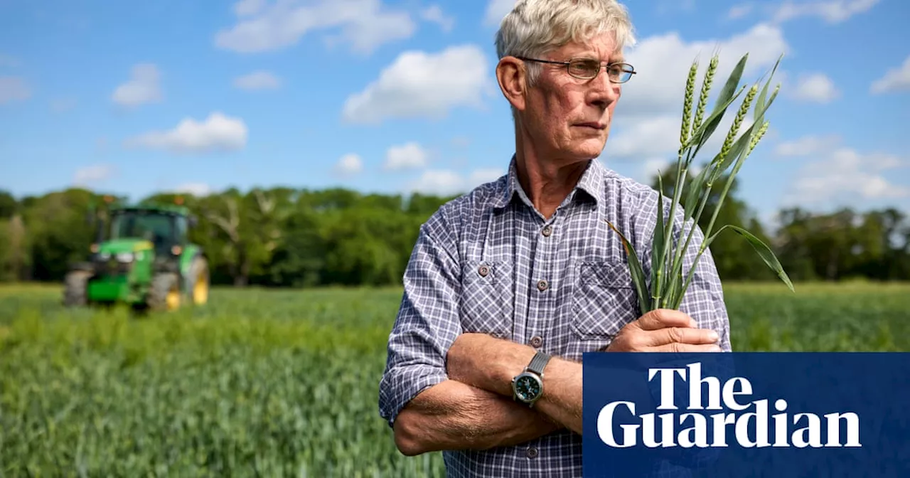 ‘Cannot be trusted’: traditional farming voter base turns away from Tories