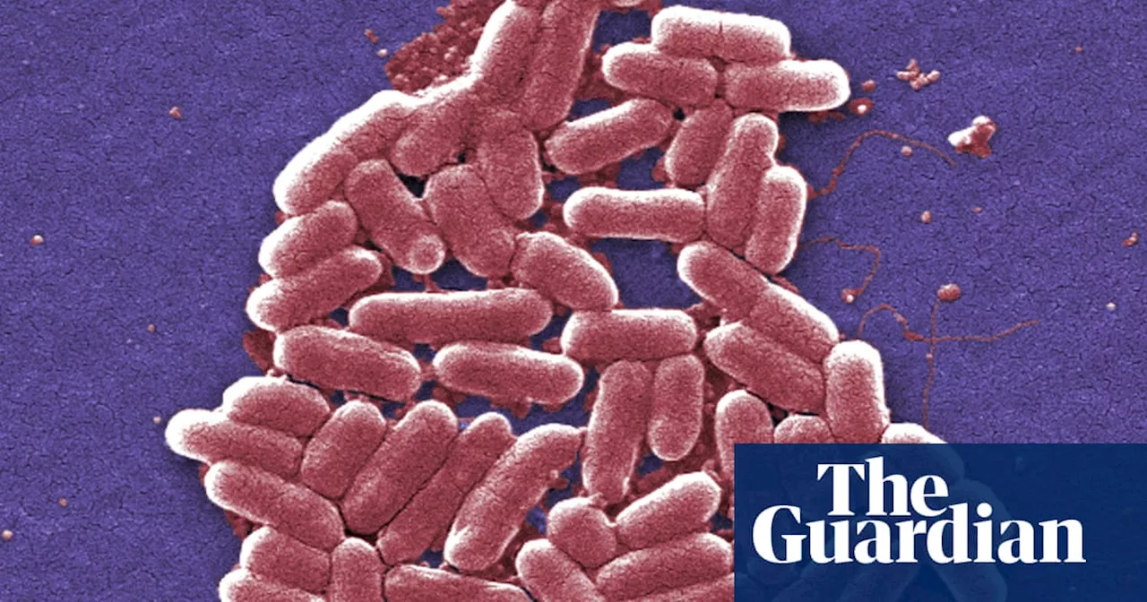 ‘More E coli cases in UK likely’ amid environmental health staff shortage