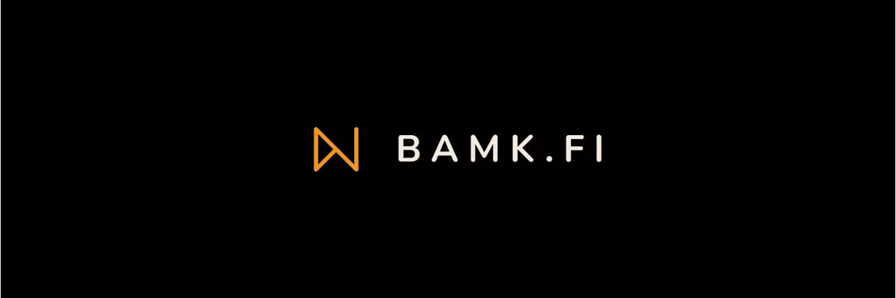 NUSD by BAMK.FI: The First Stablecoin Implemented as a BRC20 and Rune on Bitcoin (Updated)