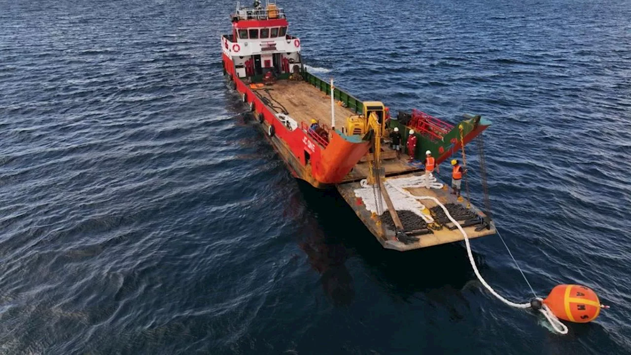 Pertama di Indonesia, Terumbu Karang Raja Ampat Dilindungi Sistem ”Mooring”